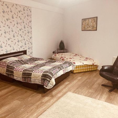 Edit House Apartment Târgu-Mureş Extérieur photo