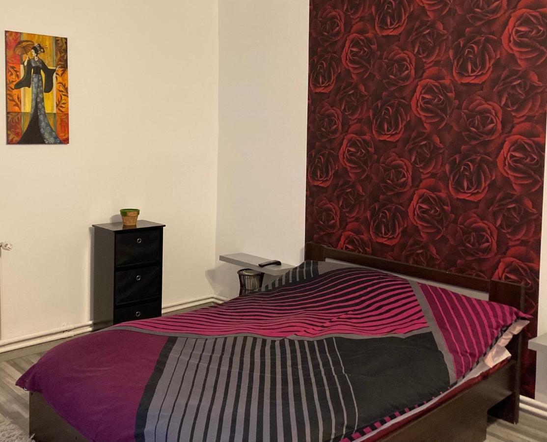 Edit House Apartment Târgu-Mureş Extérieur photo