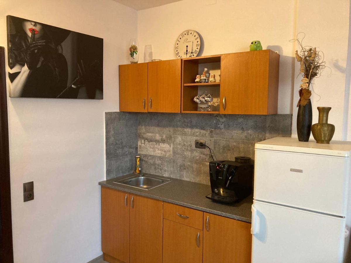 Edit House Apartment Târgu-Mureş Extérieur photo