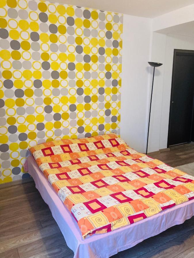 Edit House Apartment Târgu-Mureş Extérieur photo